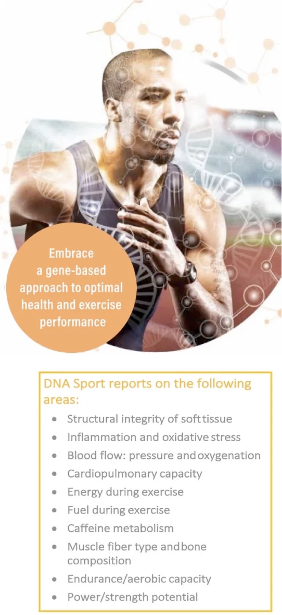 DNA Sport vertical banner